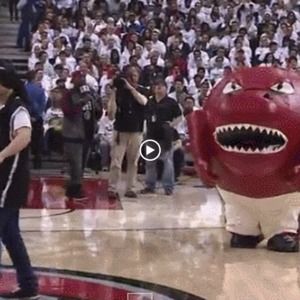 Meet your Posher, Jackson